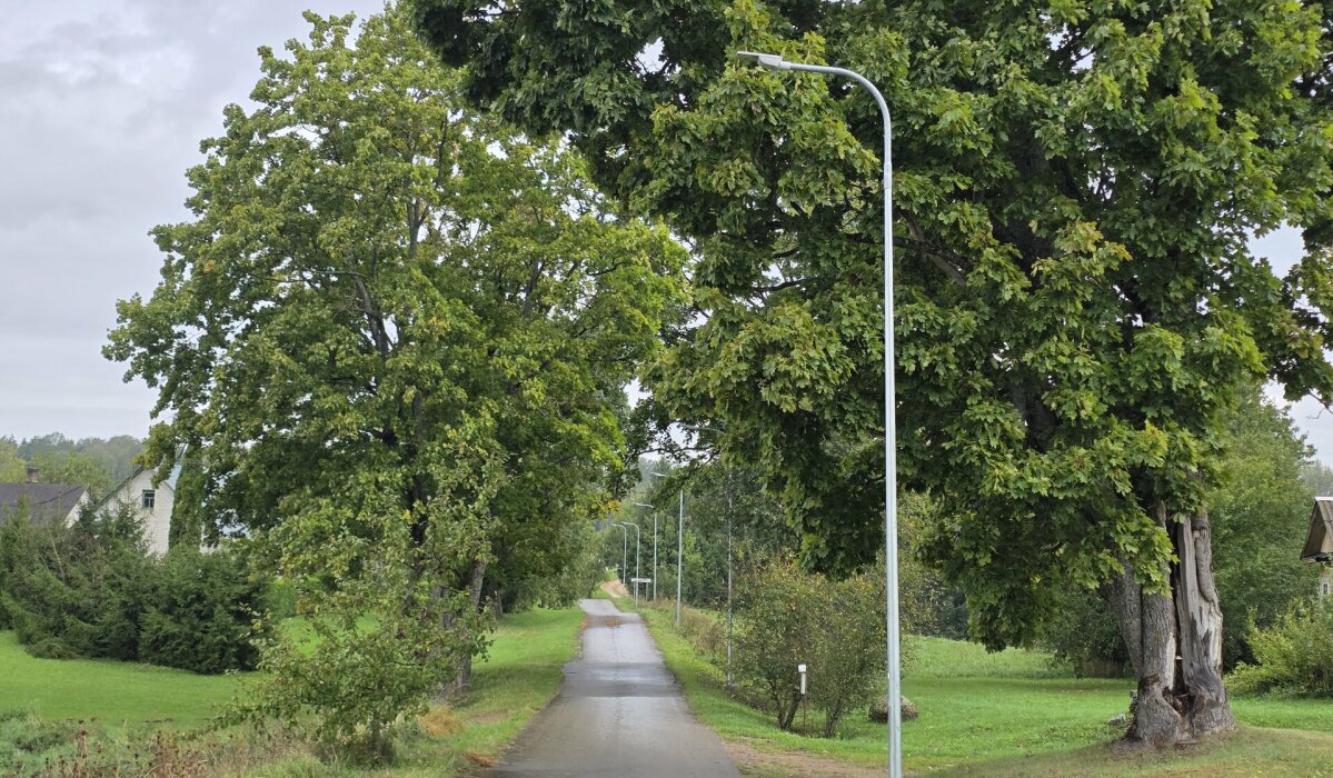 Modernizuojamas ir plečiamas Alytaus rajono gatvių apšvietimas