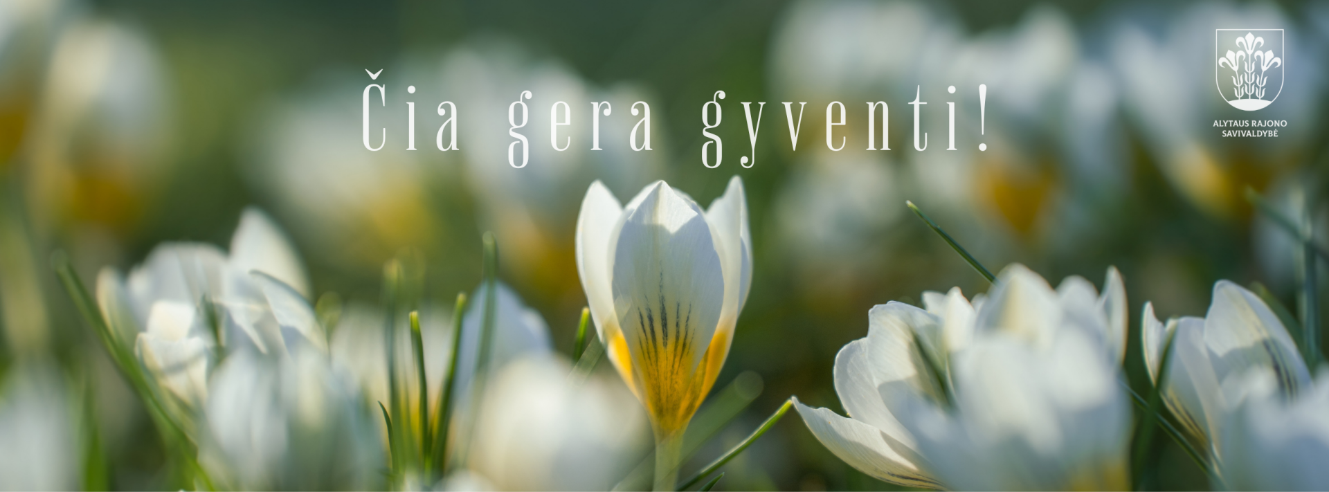Nėra