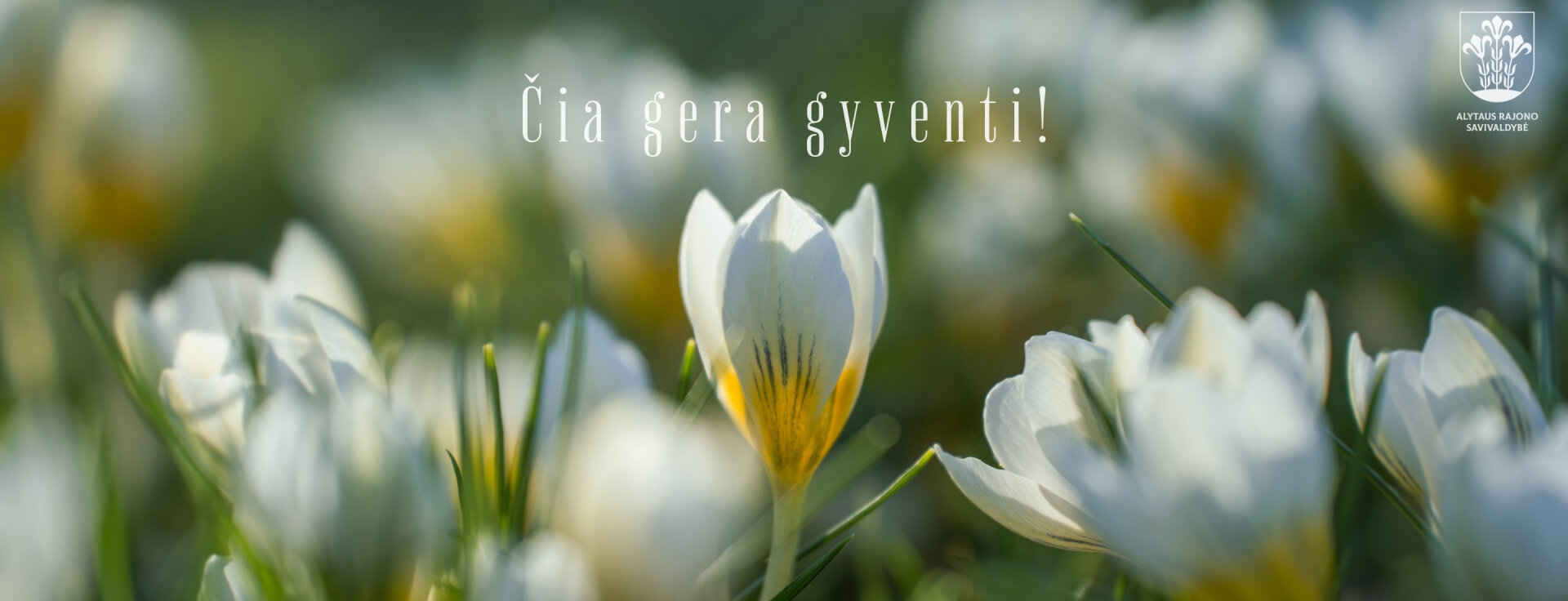 Nėra