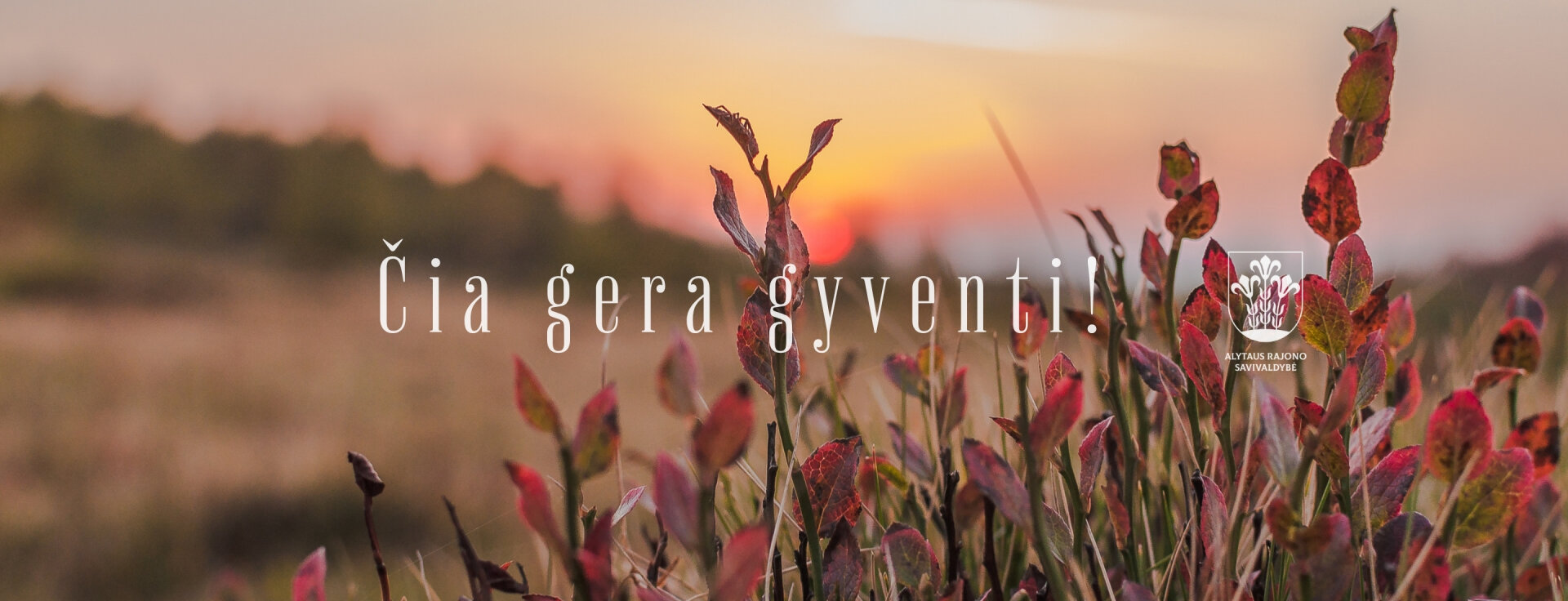 Nėra